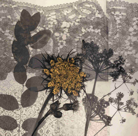 Floral for Jahrriesnge flowers lpf09865 Compatible Floral Jahrriesnge for flowers lpf09865