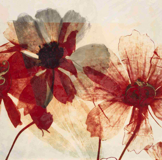Floral for Jahrriesnge flowers lpf09869 Compatible Floral Jahrriesnge for flowers lpf09869