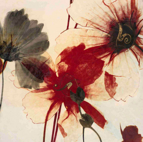 Floral for Jahrriesnge flowers lpf09870 Compatible Floral Jahrriesnge for flowers lpf09870