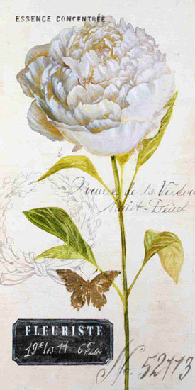Floral for Jahrriesnge flowers lpf09880 Compatible Floral Jahrriesnge for flowers lpf09880