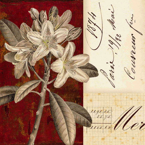 Floral for Jahrriesnge flowers lpf09921 Compatible Floral Jahrriesnge for flowers lpf09921