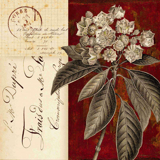 Floral for Jahrriesnge flowers lpf09922 Compatible Floral Jahrriesnge for flowers lpf09922