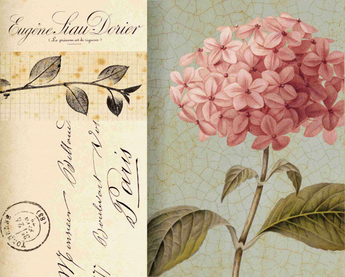 Floral for Jahrriesnge flowers lpf09924 Compatible Floral Jahrriesnge for flowers lpf09924