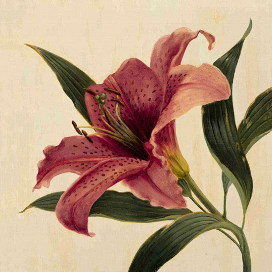 Floral for Jahrriesnge flowers lpf09938 Compatible Floral Jahrriesnge for flowers lpf09938
