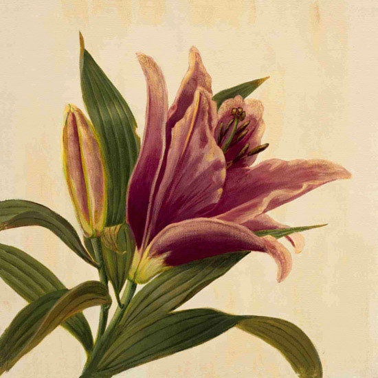 Floral for Jahrriesnge flowers lpf09939 Compatible Floral Jahrriesnge for flowers lpf09939