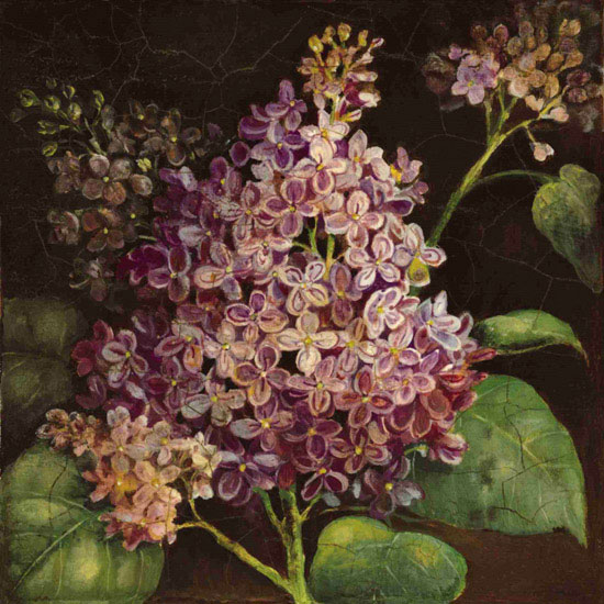 Floral for Jahrriesnge flowers lpf09942 Compatible Floral Jahrriesnge for flowers lpf09942
