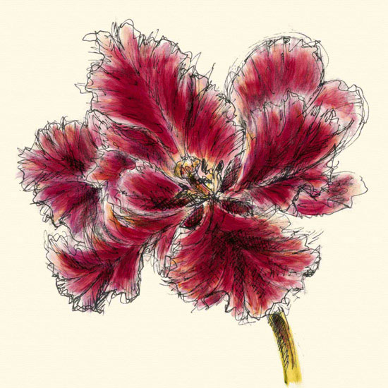 Floral for Jahrriesnge flowers lpf09982 Compatible Floral Jahrriesnge for flowers lpf09982