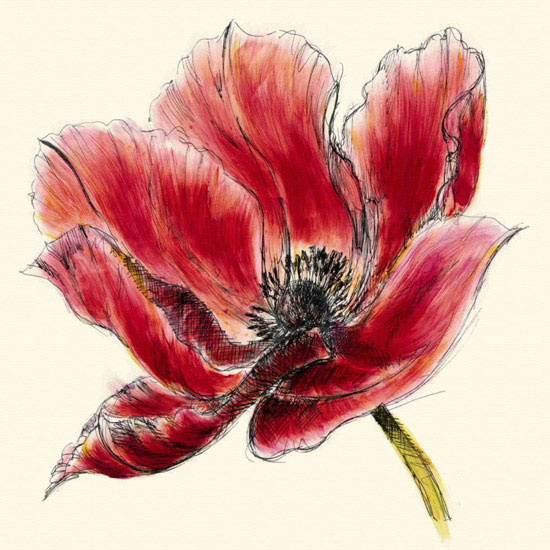 Floral for Jahrriesnge flowers lpf09983 Compatible Floral Jahrriesnge for flowers lpf09983