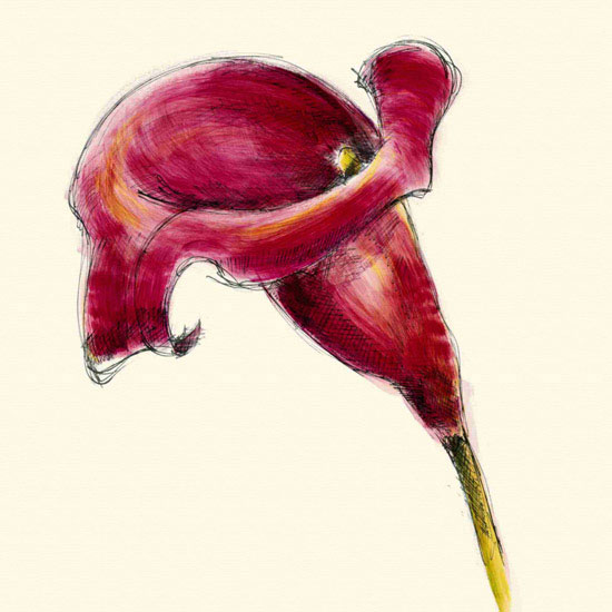 Floral for Jahrriesnge flowers lpf09985 Compatible Floral Jahrriesnge for flowers lpf09985