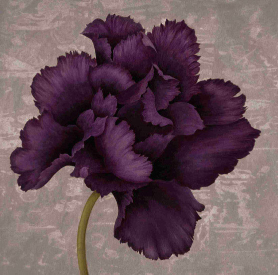 Floral for Jahrriesnge flowers lpf09996 Compatible Floral Jahrriesnge for flowers lpf09996