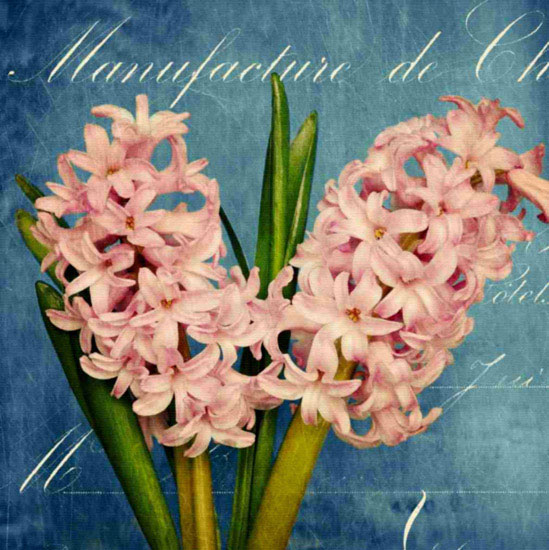 Floral for Jahrriesnge flowers lpf10017 Compatible Floral Jahrriesnge for flowers lpf10017