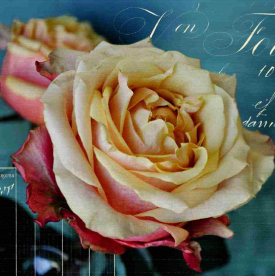 Floral for Jahrriesnge flowers lpf10018 Compatible Floral Jahrriesnge for flowers lpf10018