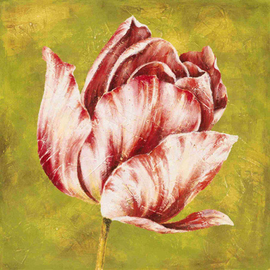 Floral for Jahrriesnge flowers lpf10019 Compatible Floral Jahrriesnge for flowers lpf10019