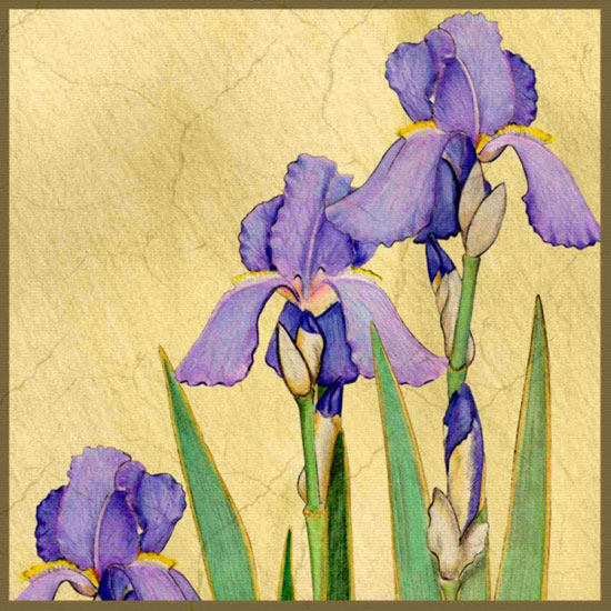 Floral for Jahrriesnge flowers lpf10045 Compatible Floral Jahrriesnge for flowers lpf10045