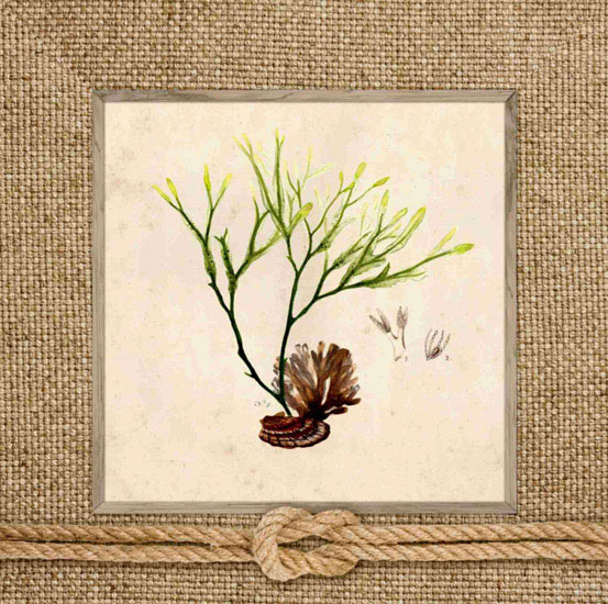Floral for Jahrriesnge flowers lpf10167 Compatible Floral Jahrriesnge for flowers lpf10167