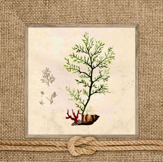 Floral for Jahrriesnge flowers lpf10168 Compatible Floral Jahrriesnge for flowers lpf10168