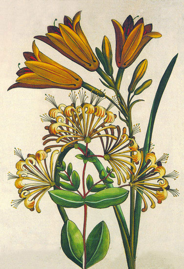 Floral for Jahrriesnge flowers lpf10189 Compatible Floral Jahrriesnge for flowers lpf10189