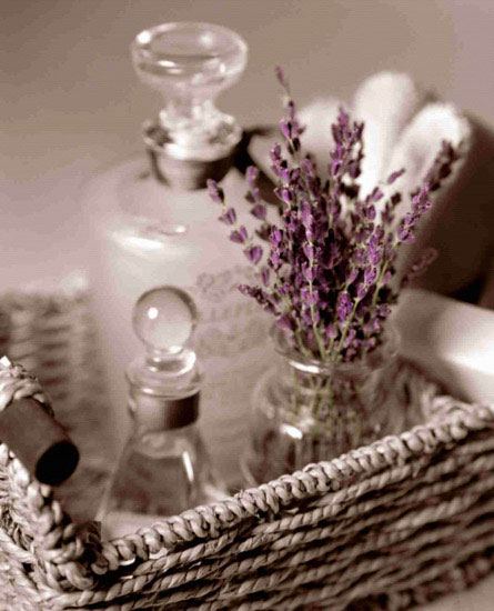 Floral for Jahrriesnge flowers lpf10206 Compatible Floral Jahrriesnge for flowers lpf10206