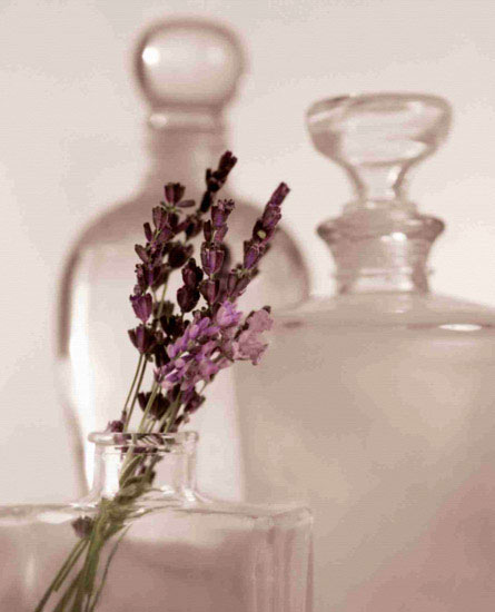 Floral for Jahrriesnge flowers lpf10207 Compatible Floral Jahrriesnge for flowers lpf10207