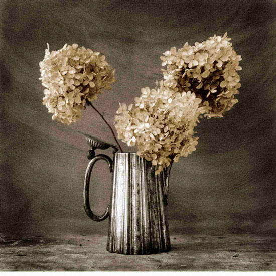 Floral for Jahrriesnge flowers lpf10220 Compatible Floral Jahrriesnge for flowers lpf10220