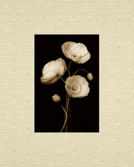 Floral for Jahrriesnge flowers lpf10224 Compatible Floral Jahrriesnge for flowers lpf10224