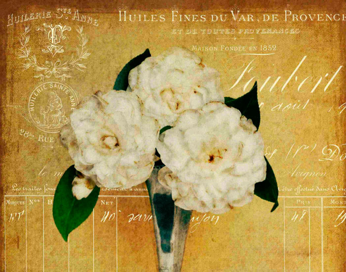 Floral for Jahrriesnge flowers lpf10244 Compatible Floral Jahrriesnge for flowers lpf10244