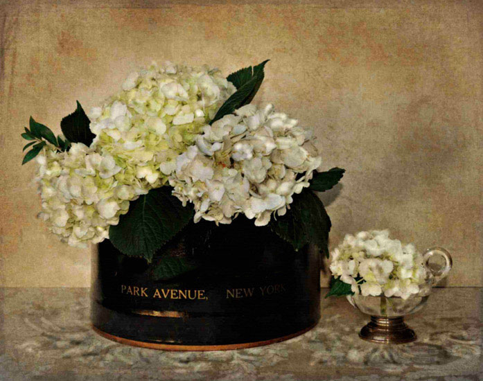 Floral for Jahrriesnge flowers lpf10247 Compatible Floral Jahrriesnge for flowers lpf10247