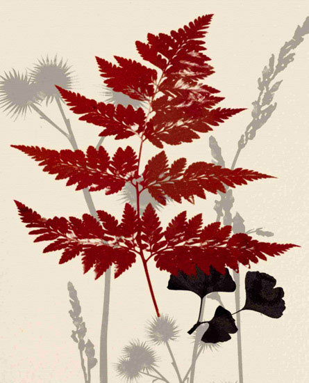 Floral for Jahrriesnge leaves lpf10283 Compatible Floral Jahrriesnge for leaves lpf10283