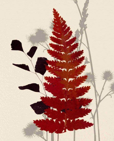Floral for Jahrriesnge leaves lpf10284 Compatible Floral Jahrriesnge for leaves lpf10284