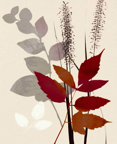 Floral for Jahrriesnge leaves lpf10286 Compatible Floral Jahrriesnge for leaves lpf10286