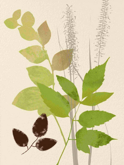 Floral for Jahrriesnge leaves lpf10289 Compatible Floral Jahrriesnge for leaves lpf10289