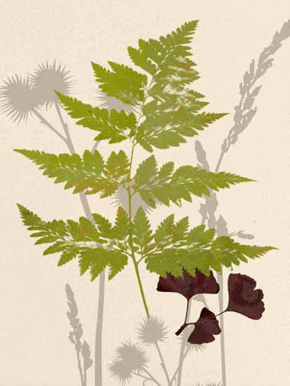 Floral for Jahrriesnge leaves lpf10290 Compatible Floral Jahrriesnge for leaves lpf10290