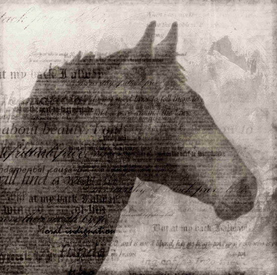 Portrait for Jahrriesnge horse lpf10529 Compatible Portrait Jahrriesnge for horse lpf10529