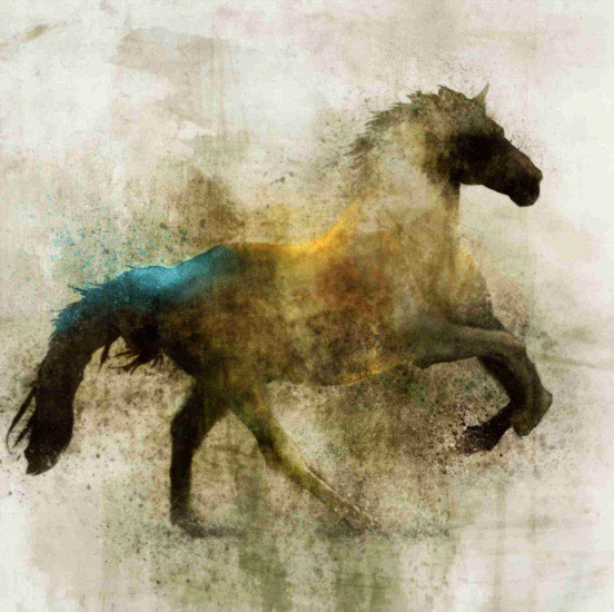 Animaux for Jahrriesnge horse lpf10531 Compatible Animaux Jahrriesnge for horse lpf10531