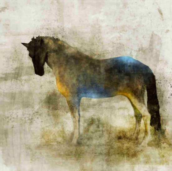 Animaux for Jahrriesnge horse lpf10532 Compatible Animaux Jahrriesnge for horse lpf10532