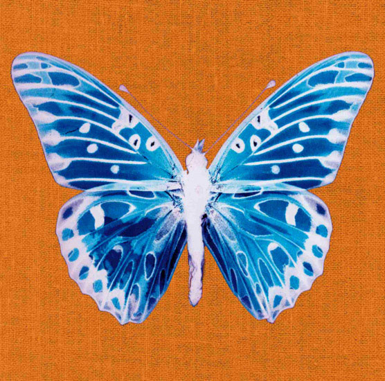 Animaux for Jahrriesnge butterfly lpf10548 Compatible Animaux Jahrriesnge for butterfly lpf10548