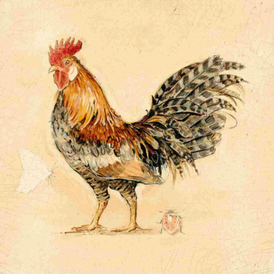 Animaux for Jahrriesnge cock lpf10563 Compatible Animaux Jahrriesnge for cock lpf10563