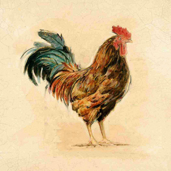 Animaux for Jahrriesnge cock lpf10564 Compatible Animaux Jahrriesnge for cock lpf10564