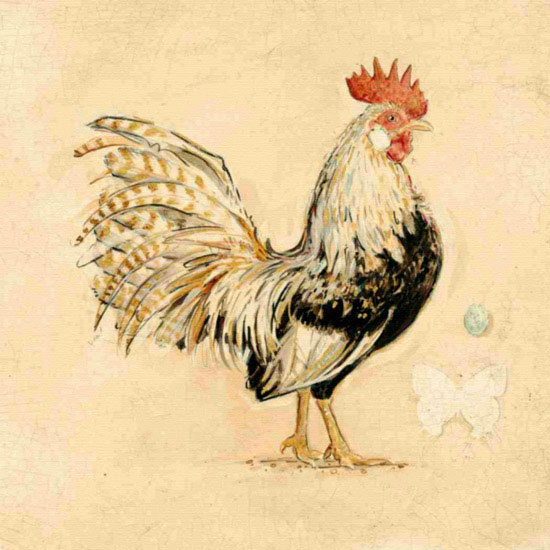 Animaux for Jahrriesnge cock lpf10565 Compatible Animaux Jahrriesnge for cock lpf10565
