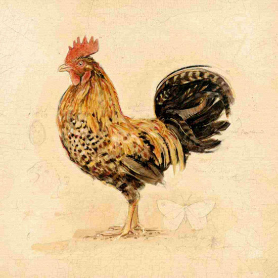 Animaux for Jahrriesnge cock lpf10566 Compatible Animaux Jahrriesnge for cock lpf10566