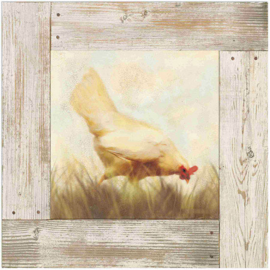 Animaux for Jahrriesnge hen lpf10582 Compatible Animaux Jahrriesnge for hen lpf10582