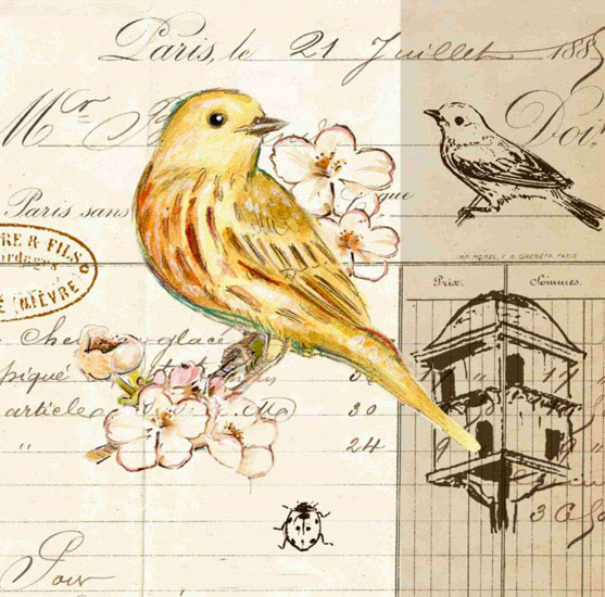 Animaux for Jahrriesnge bird lpf10593 Compatible Animaux Jahrriesnge for bird lpf10593