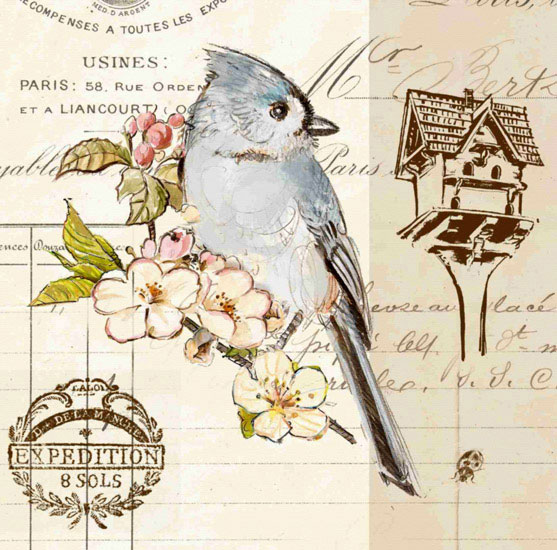 Animaux for Jahrriesnge bird lpf10595 Compatible Animaux Jahrriesnge for bird lpf10595