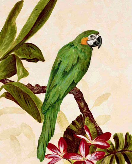 Animaux for Jahrriesnge macaw lpf10596 Compatible Animaux Jahrriesnge for macaw lpf10596
