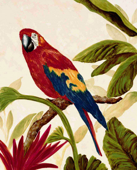 Animaux for Jahrriesnge macaw lpf10597 Compatible Animaux Jahrriesnge for macaw lpf10597