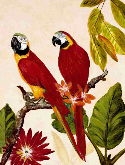 Animaux for Jahrriesnge macaw lpf10599 Compatible Animaux Jahrriesnge for macaw lpf10599