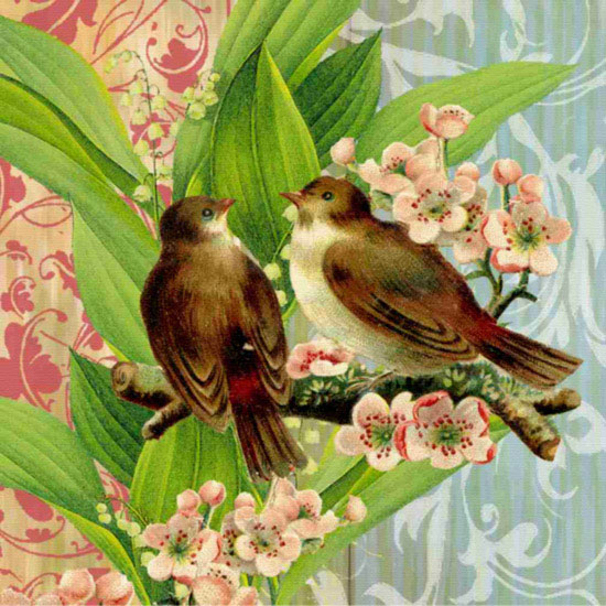 Animaux for Jahrriesnge birds lpf10605 Compatible Animaux Jahrriesnge for birds lpf10605