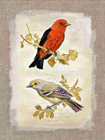 Animaux for Jahrriesnge bird lpf10612 Compatible Animaux Jahrriesnge for bird lpf10612