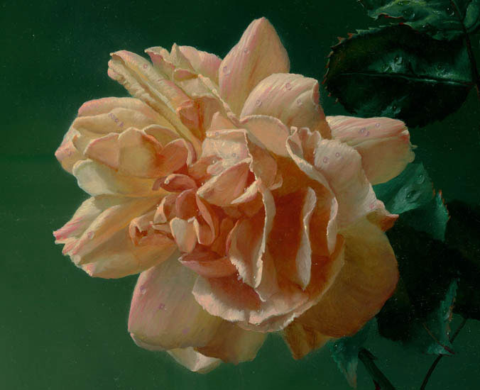 Nature morte for Jahrriesnge flower lpf13215 Compatible Nature morte Jahrriesnge for flower lpf13215