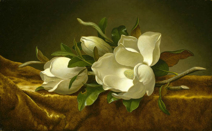 Nature morte for Jahrriesnge flower lpf13218 Compatible Nature morte Jahrriesnge for flower lpf13218